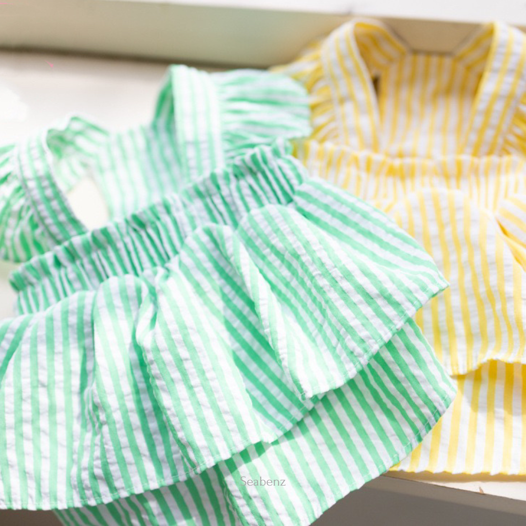 Somerset Stripes Dress