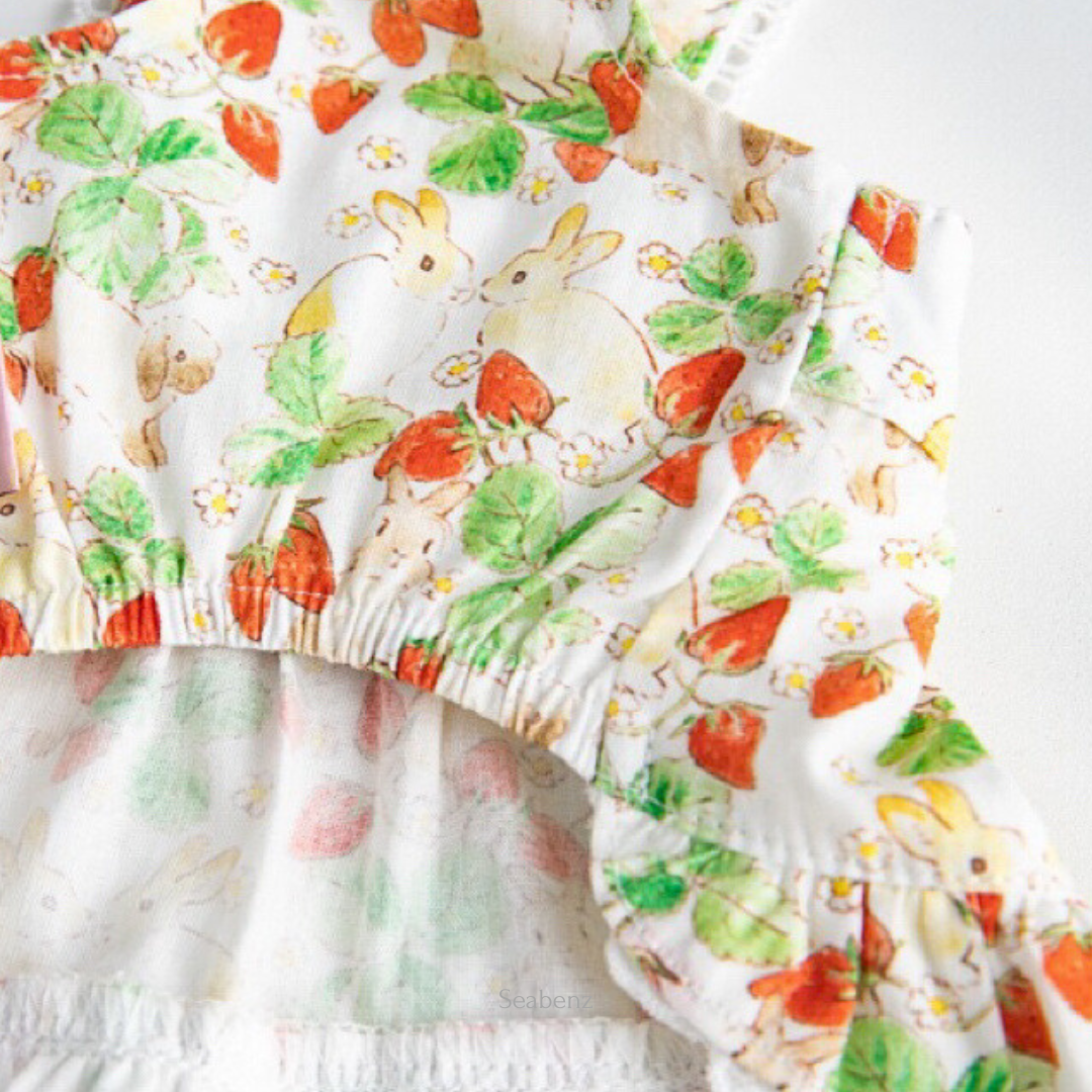 BerrySweet Strawberry Dress