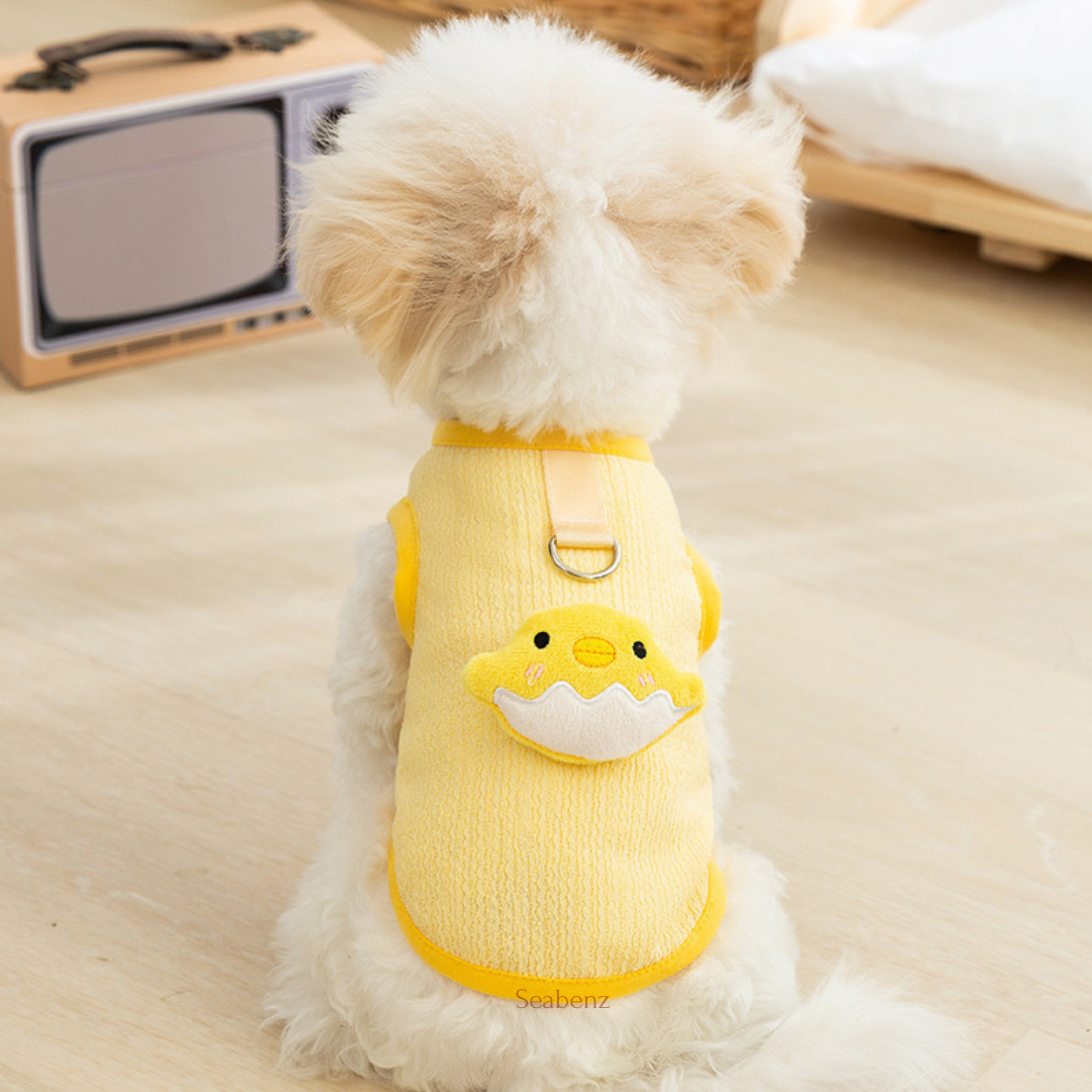 ChickiePop Summer Clothing