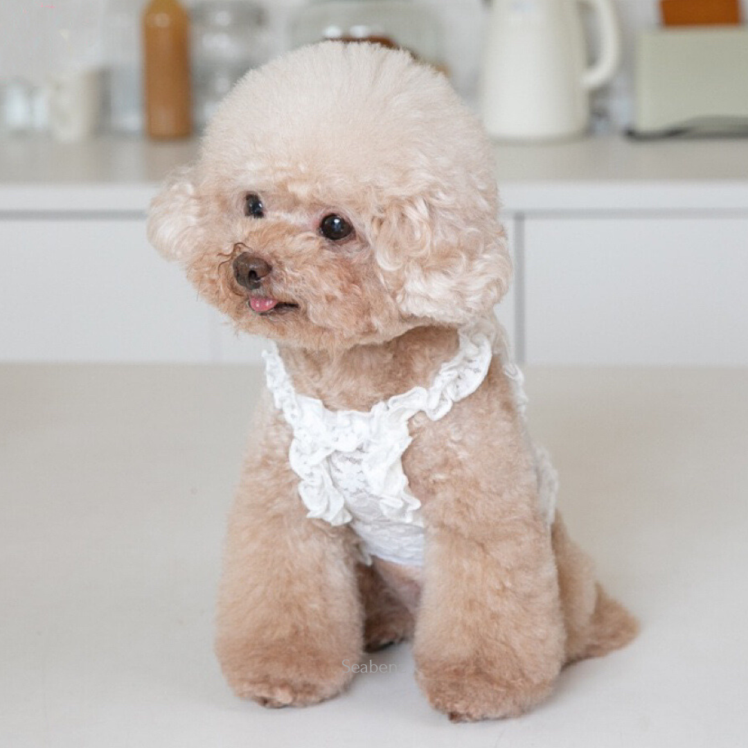 Lacy Breeze Sling Clothing