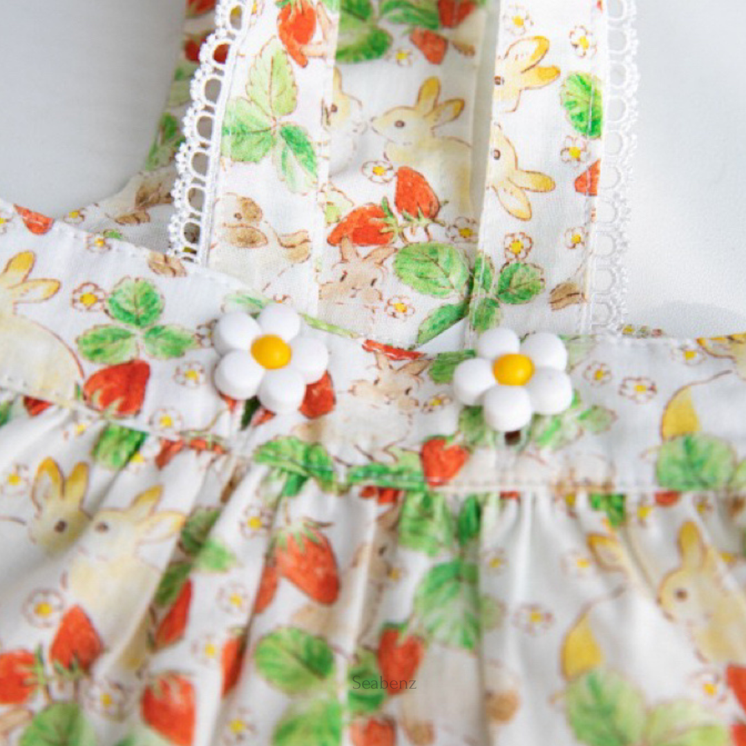 BerrySweet Strawberry Dress