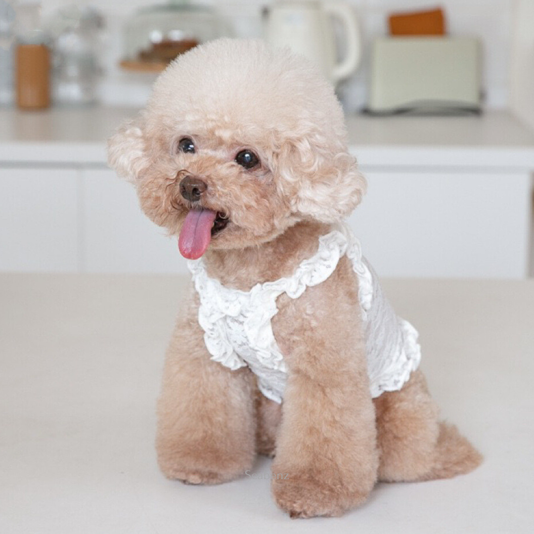 Lacy Breeze Sling Clothing