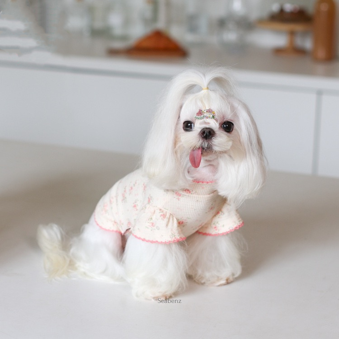 Monica Floral Pet Clothing