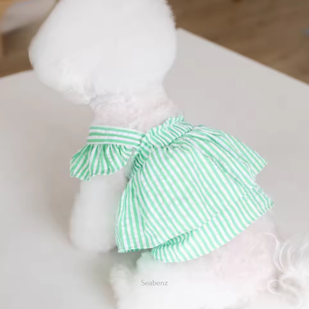 Somerset Stripes Dress