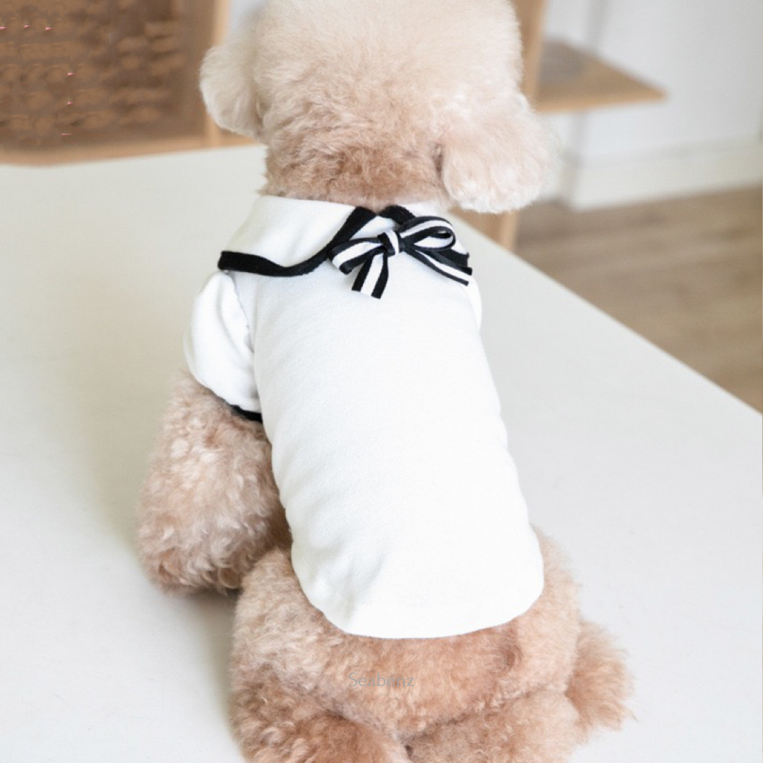 Oxford Bow Collar Clothing