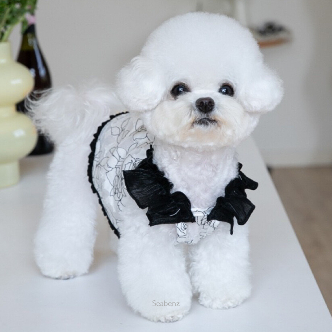 Midnight Bloom Chiffon Dress