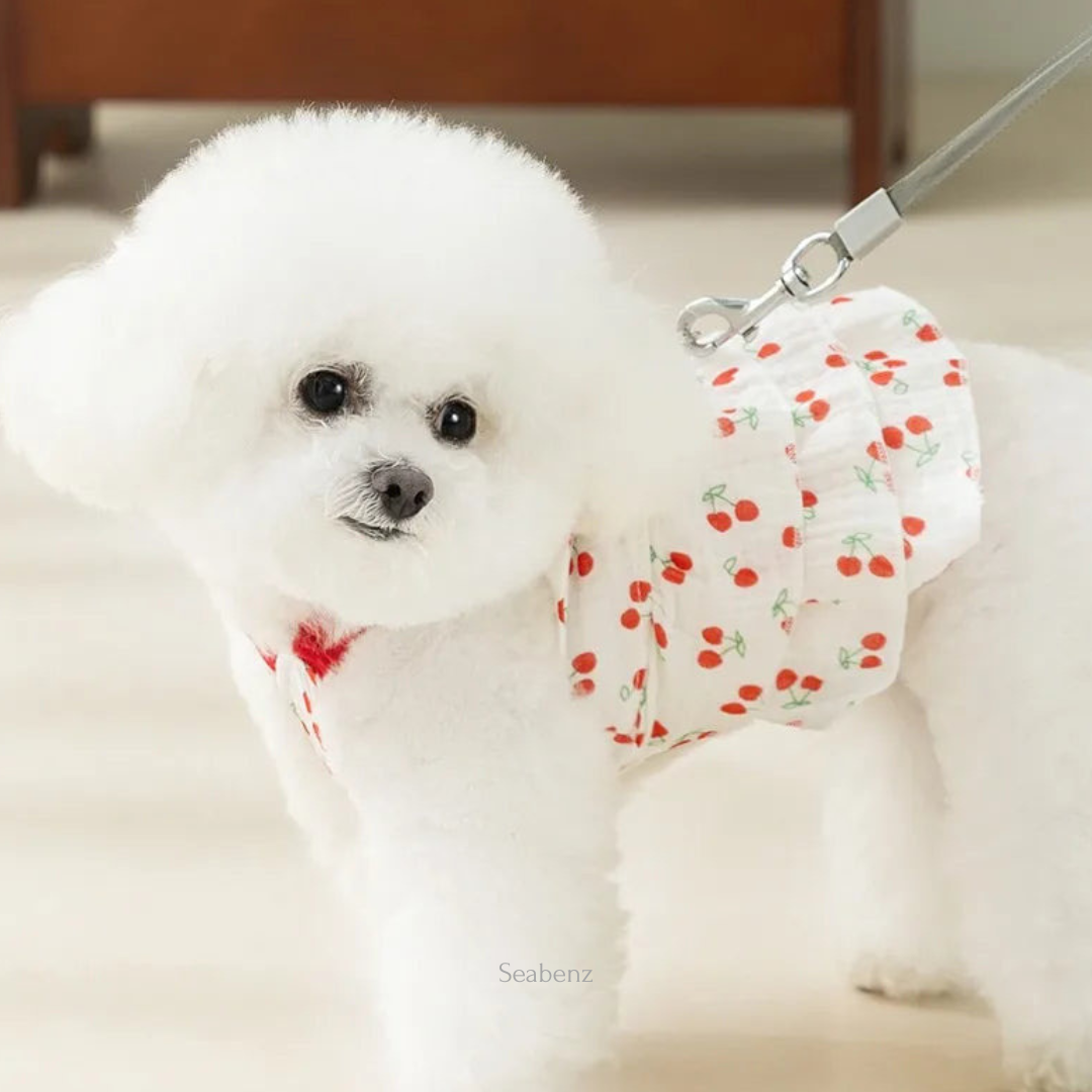 CherryPop Dress