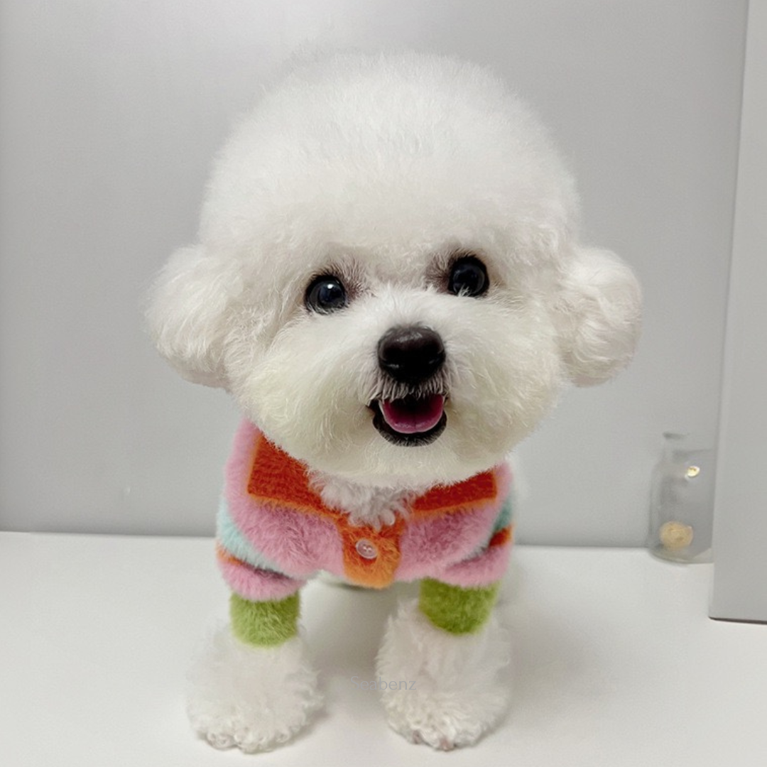Kikila Colorful Sweater