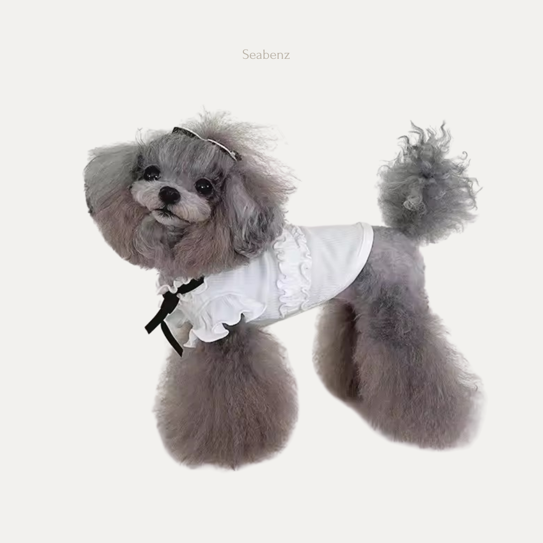 Kausaleya Pet Clothing