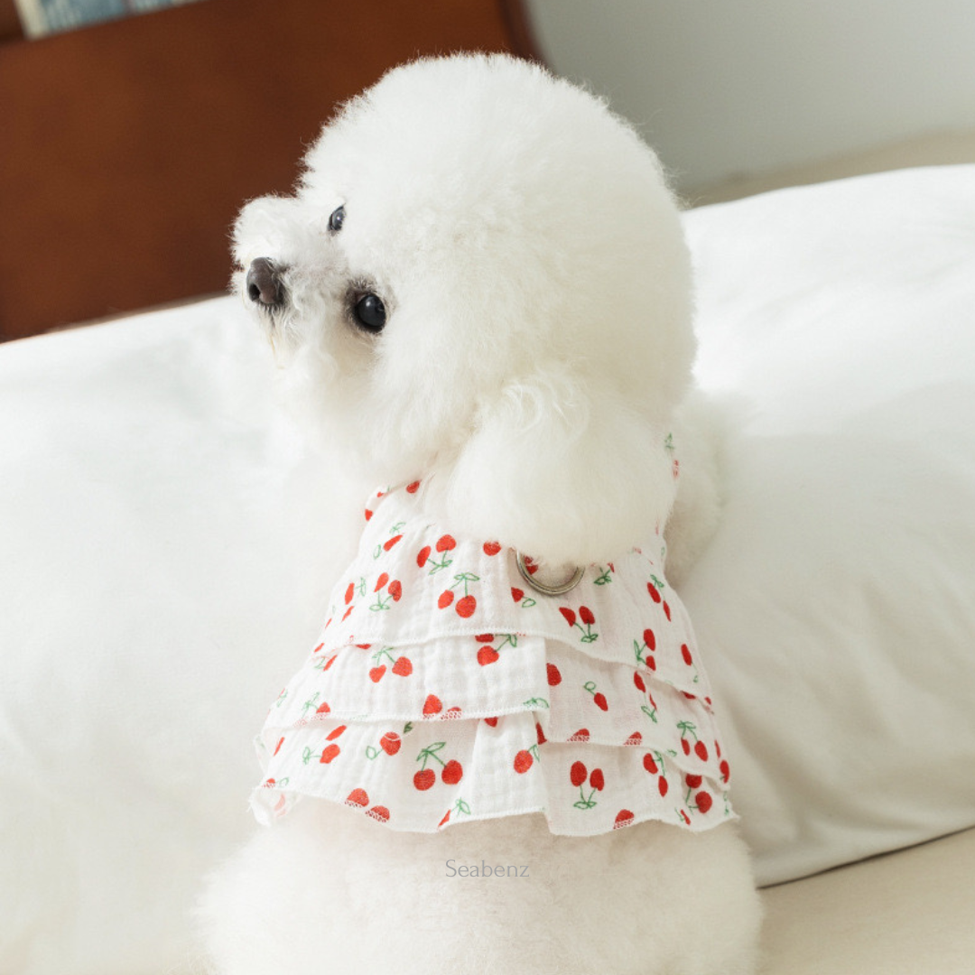 CherryPop Dress