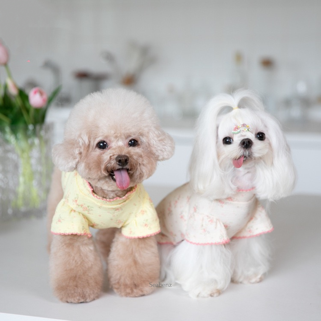 Monica Floral Pet Clothing