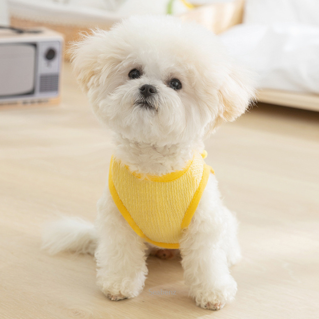 ChickiePop Summer Clothing