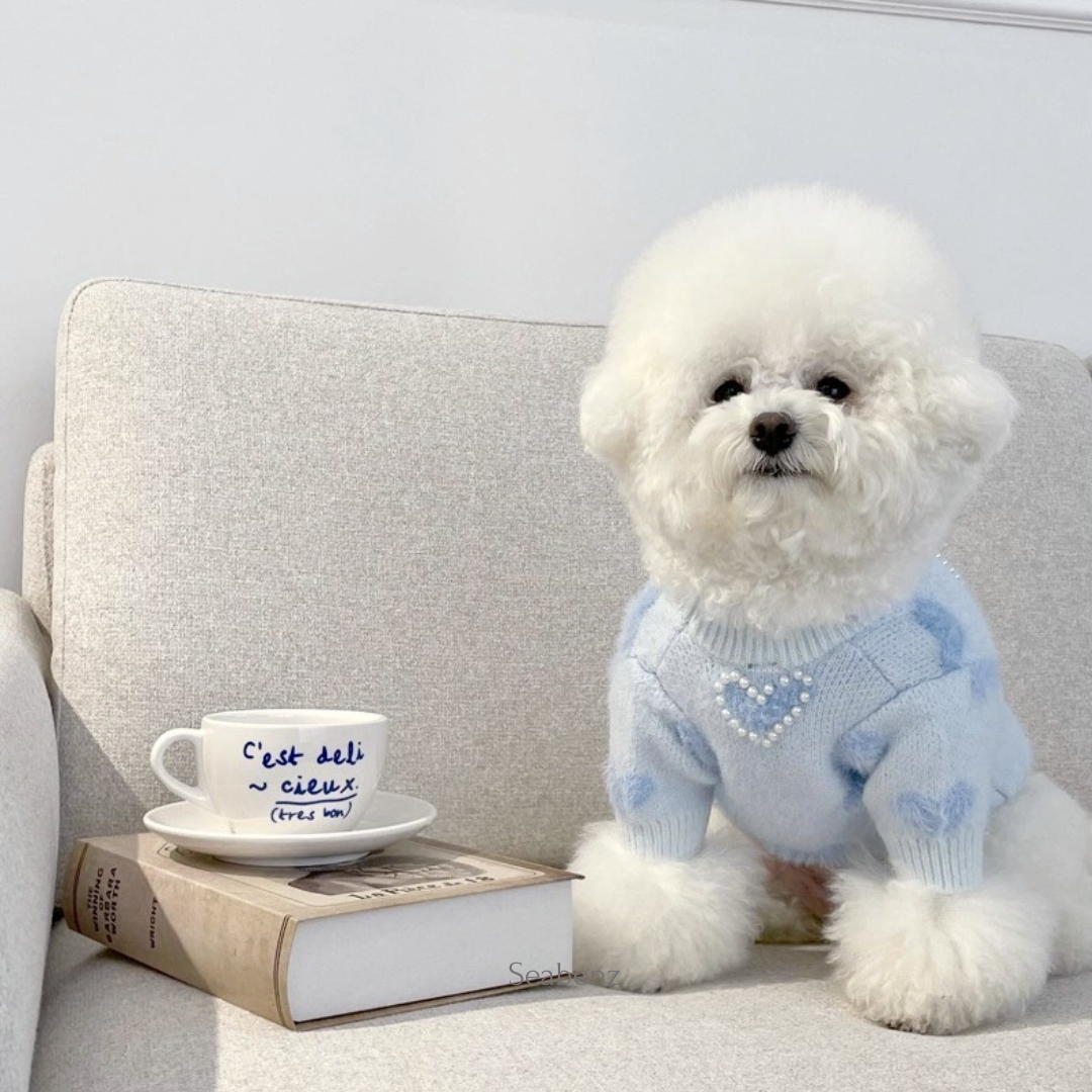 Bluelove Sweater