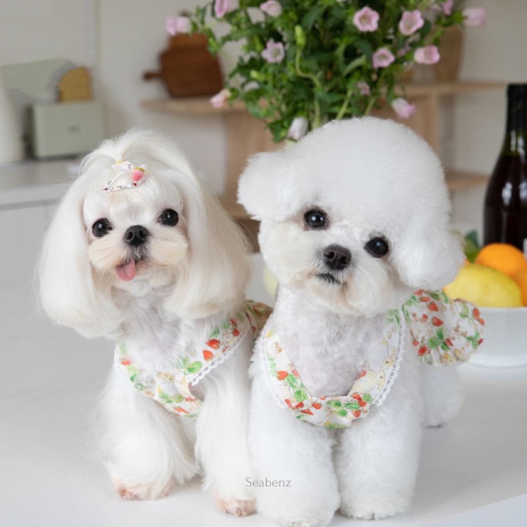 BerrySweet Strawberry Dress