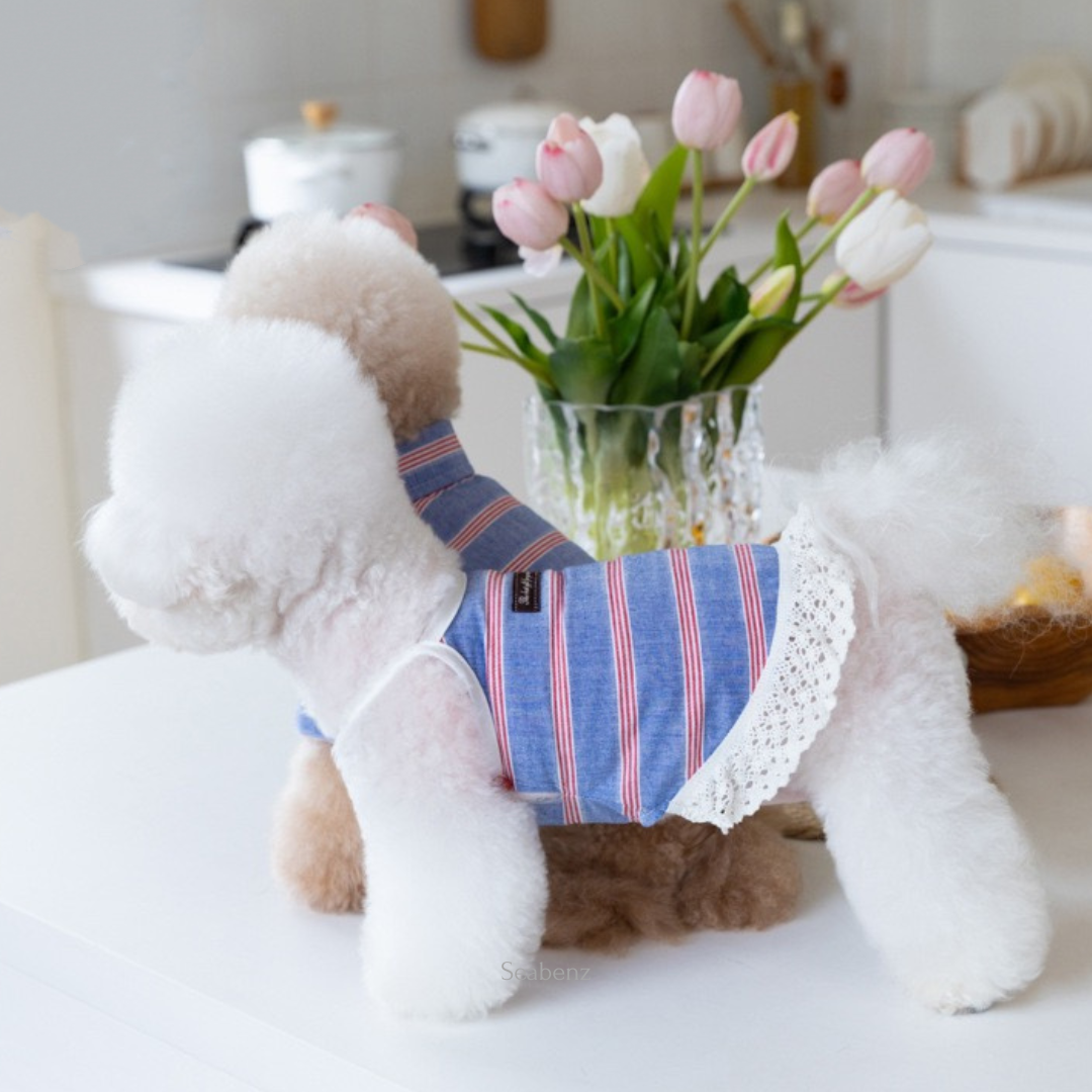 Seaside Stripe Shirt / Dress
