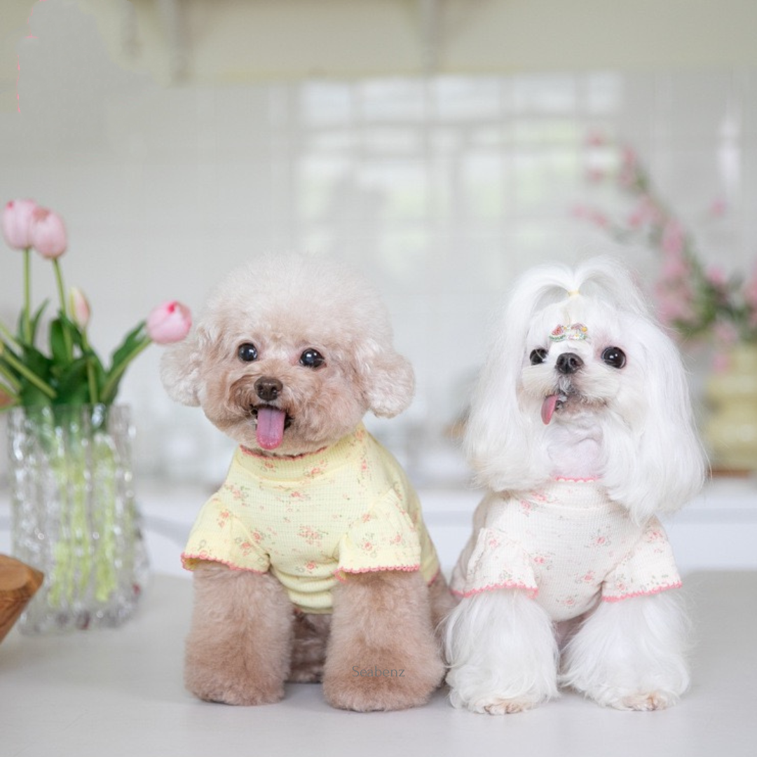 Monica Floral Pet Clothing