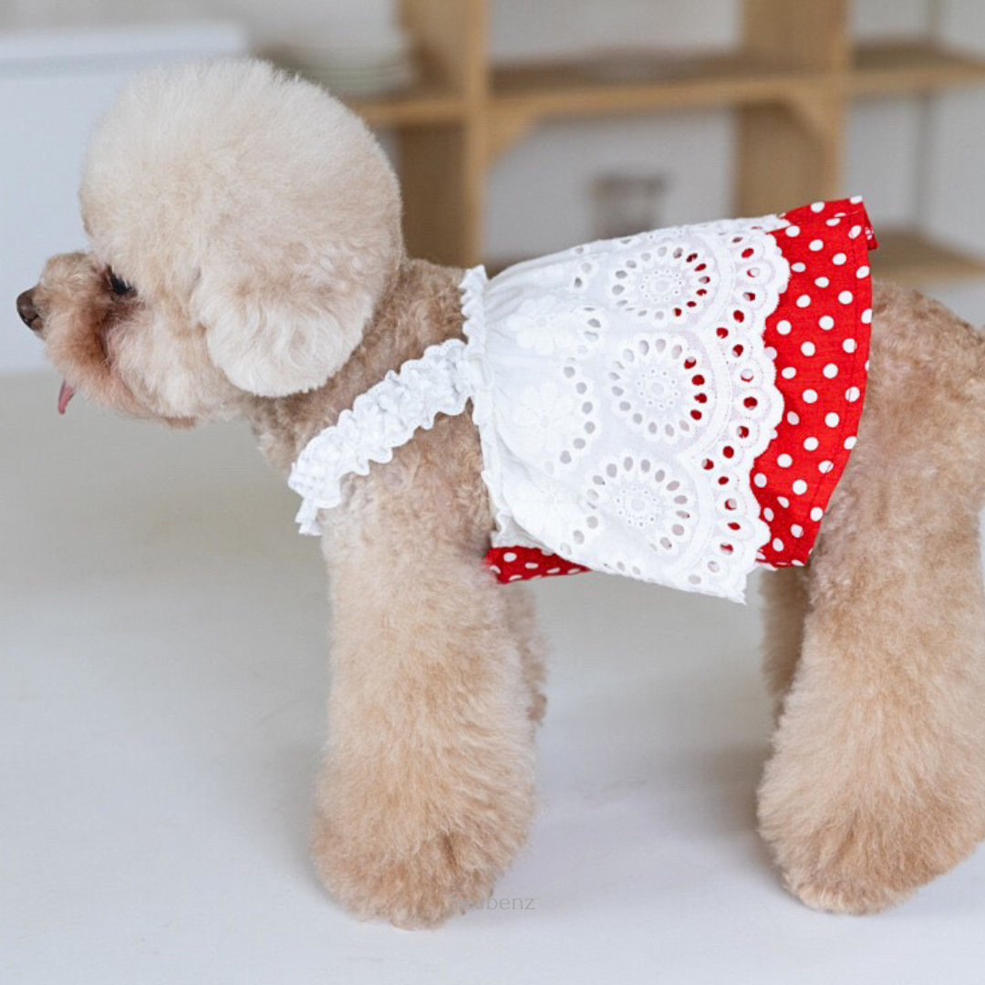 DotLace Sweetheart Dress