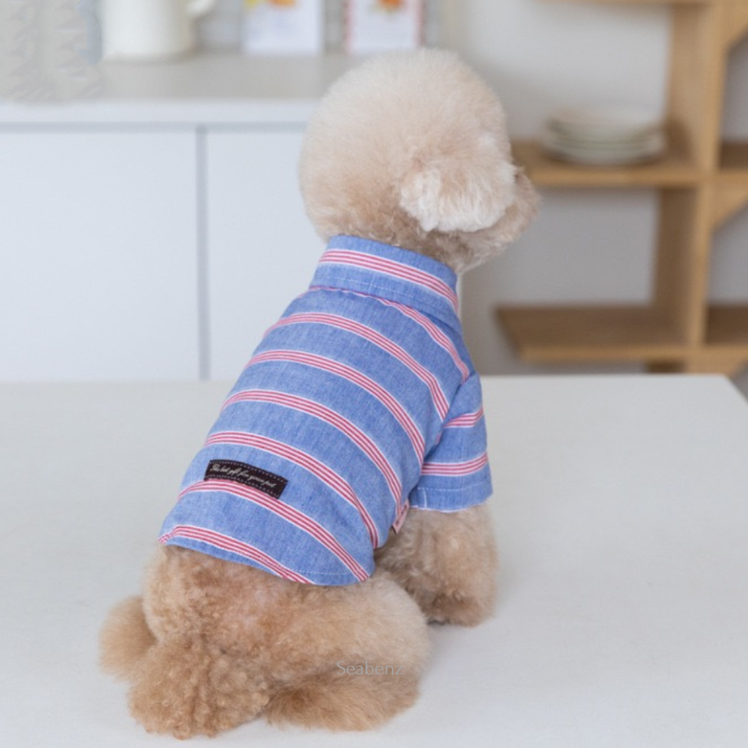 Seaside Stripe Shirt / Dress