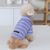 Seaside Stripe Shirt / Dress
