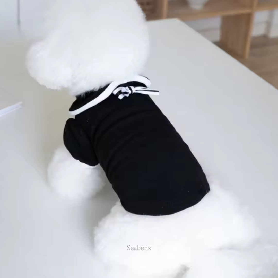 Oxford Bow Collar Clothing