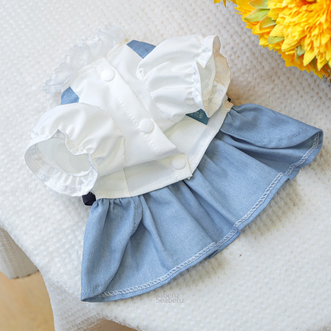 Evitania Denim Dress