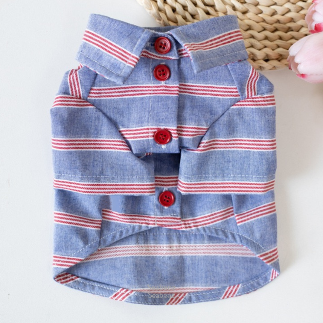 Seaside Stripe Shirt / Dress