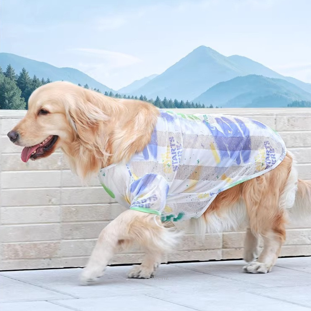 BreezyGuard Mesh Summer Clothing