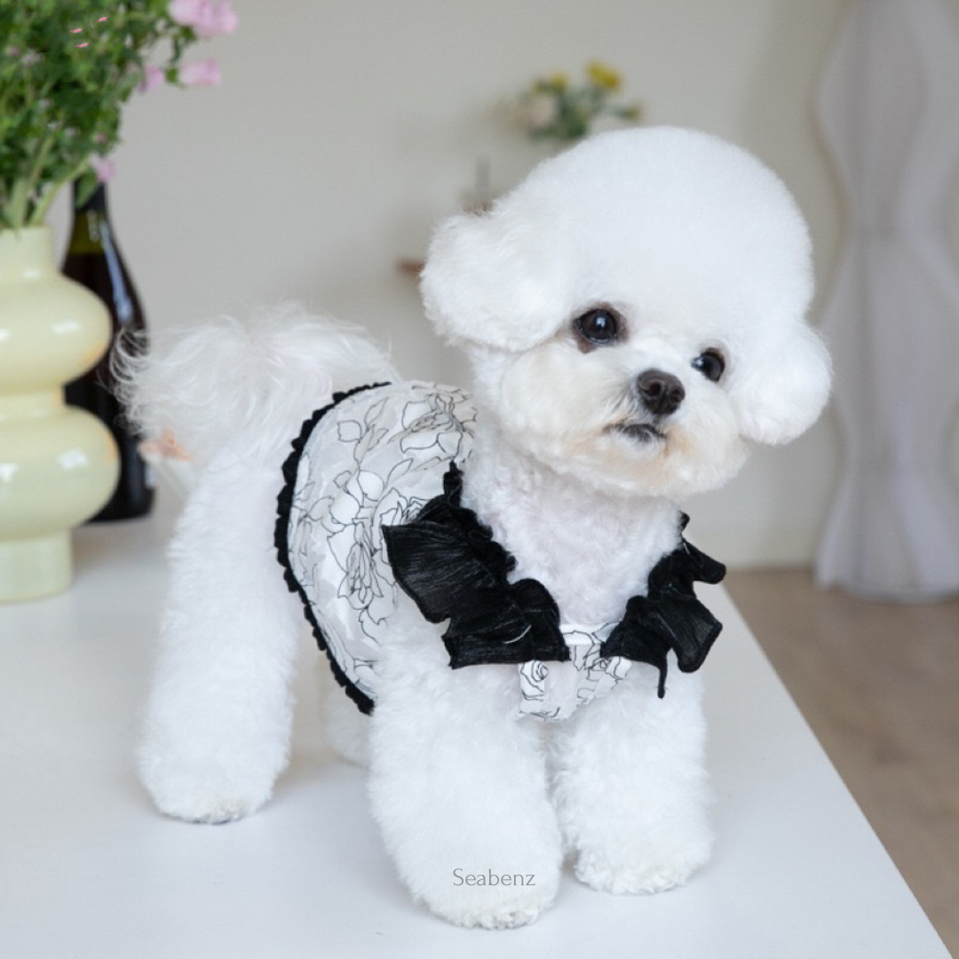 Midnight Bloom Chiffon Dress