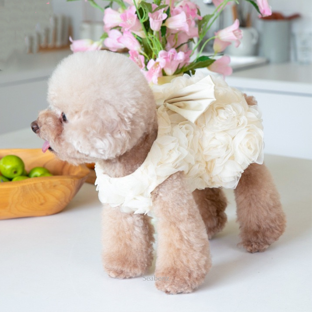 Rosie Bow Pet Dress