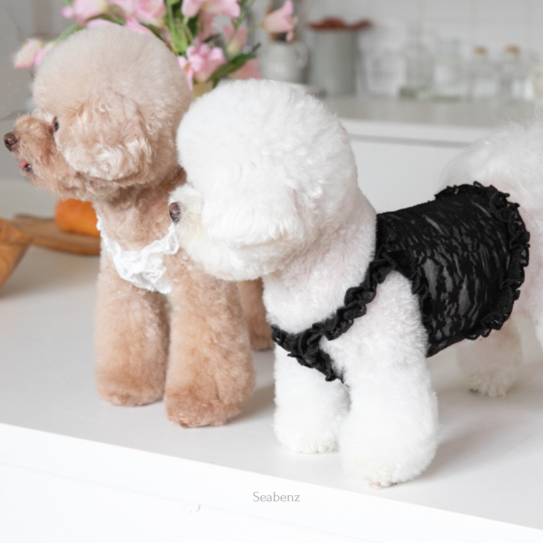 Lacy Breeze Sling Clothing