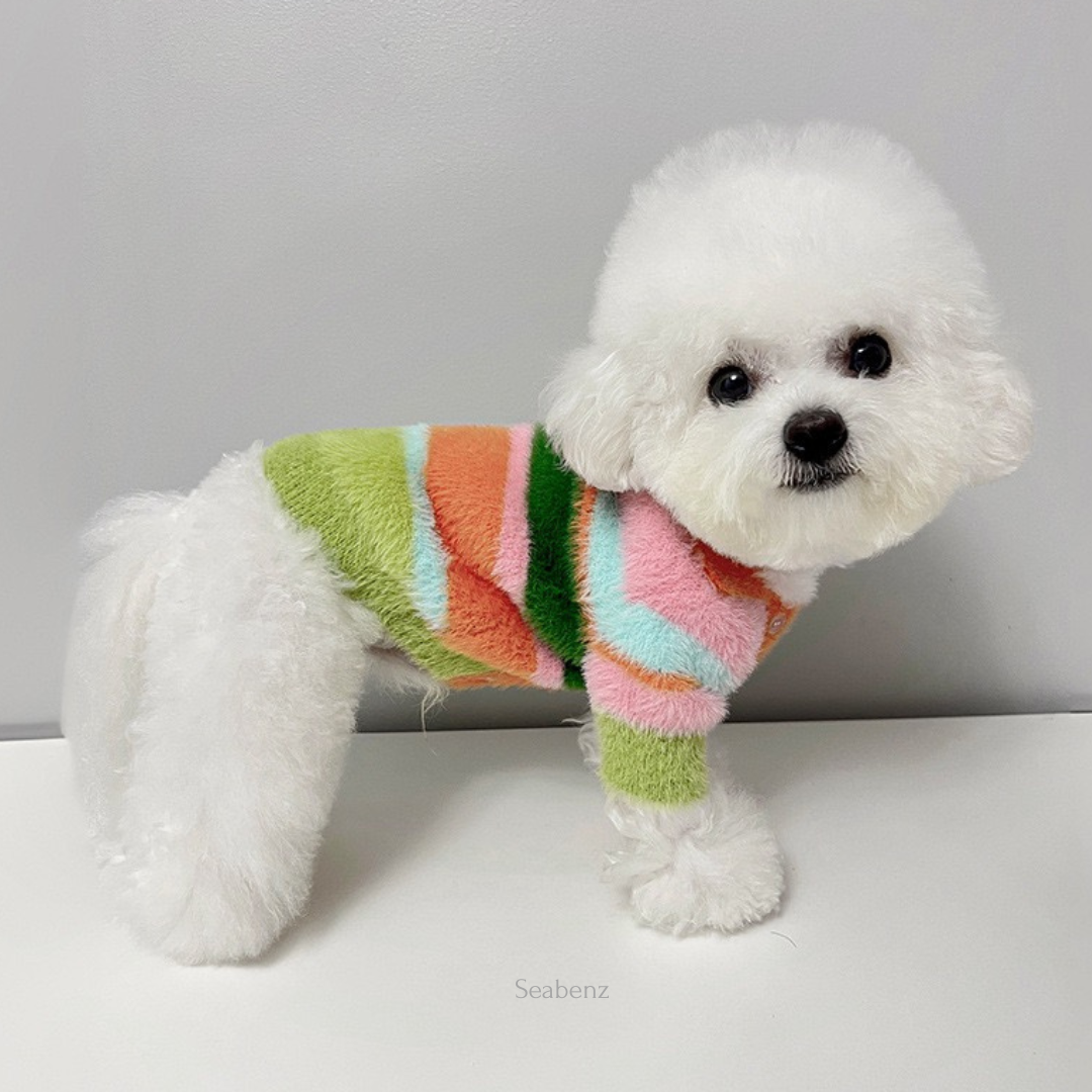 Kikila Colorful Sweater