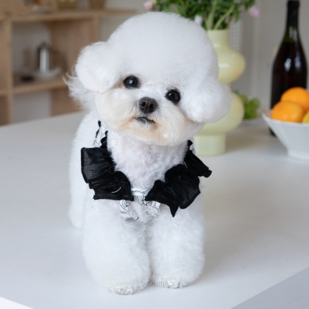 Midnight Bloom Chiffon Dress