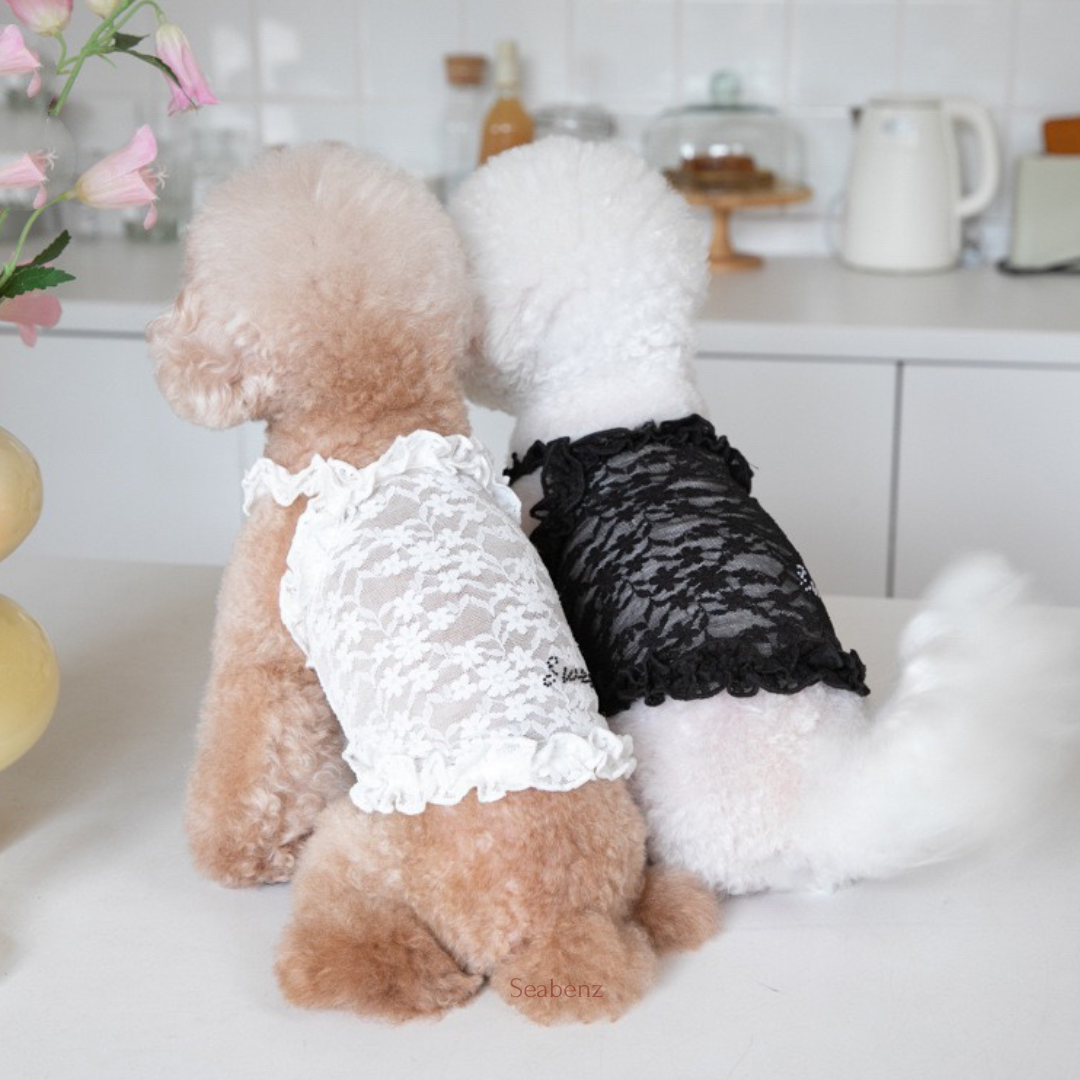Lacy Breeze Sling Clothing