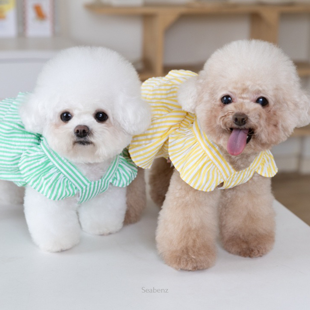 Somerset Stripes Dress