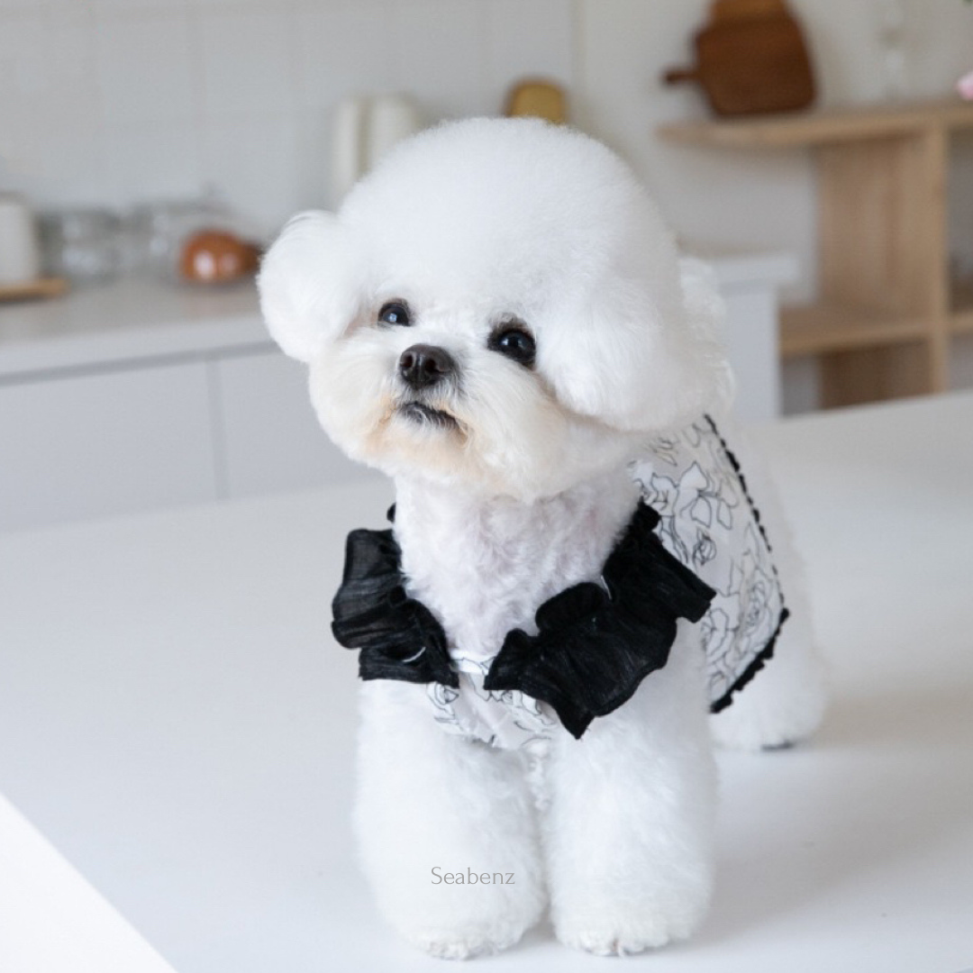 Midnight Bloom Chiffon Dress