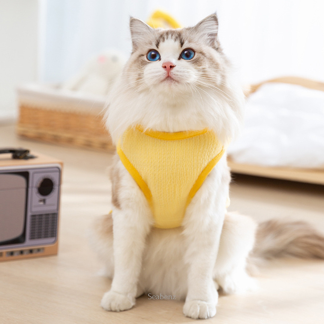 ChickiePop Summer Clothing