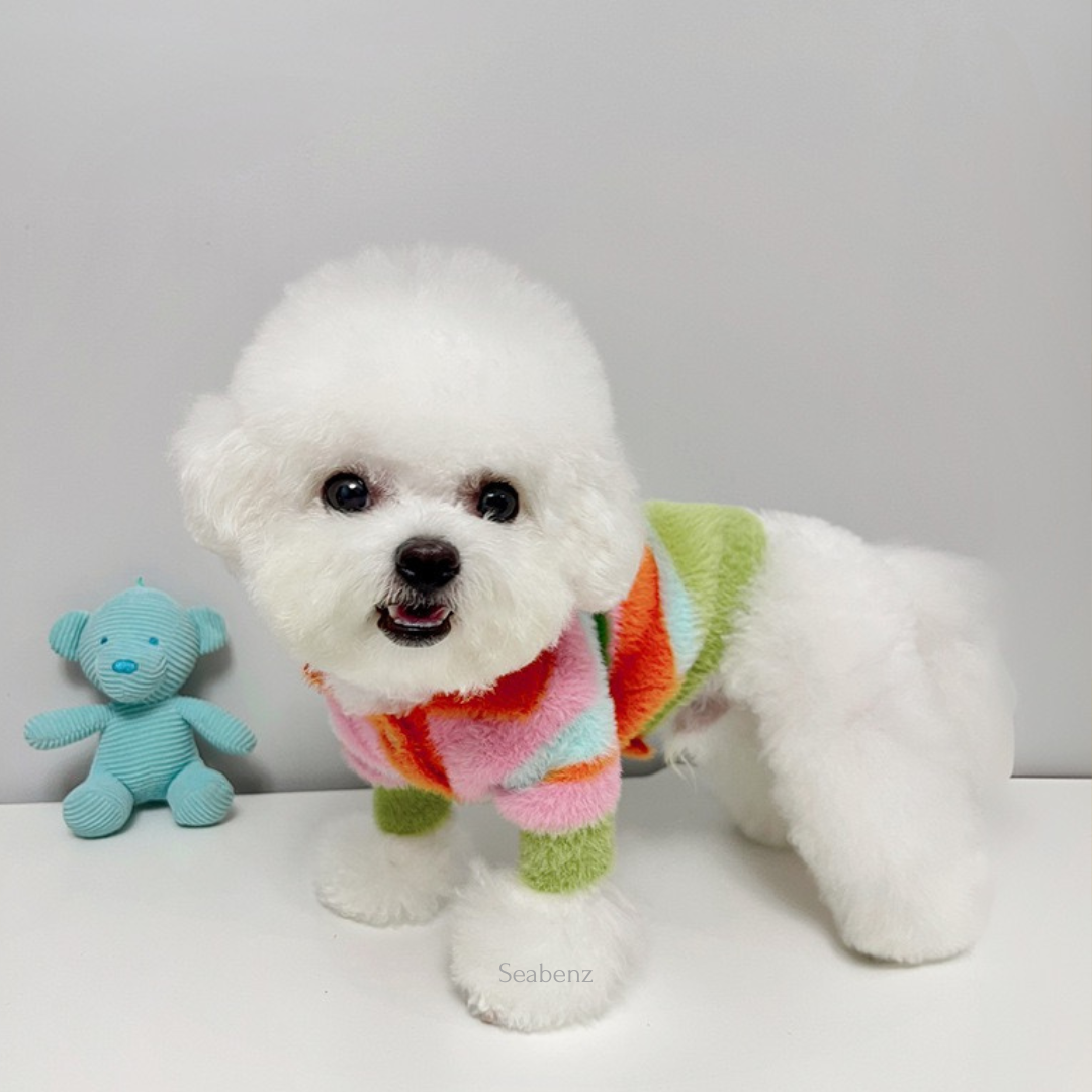 Kikila Colorful Sweater