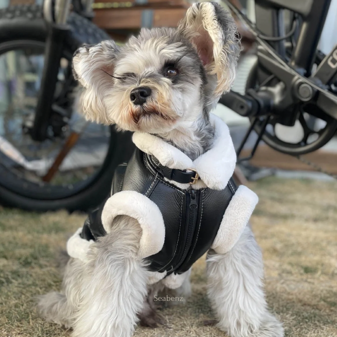 Cool Style Pet Clothing