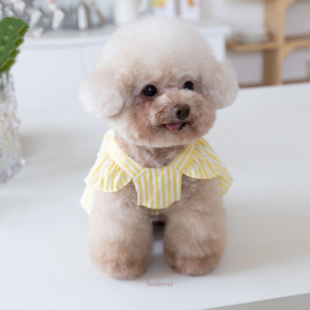 Somerset Stripes Dress