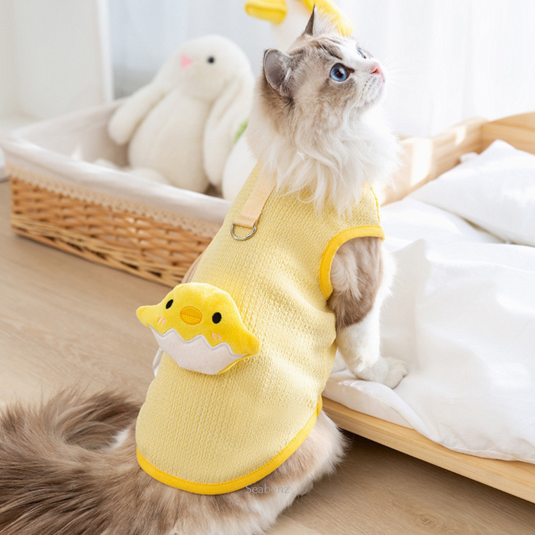 ChickiePop Summer Clothing