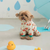 Mahodara Pet Waterproof  Raincoat