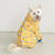 Mahodara Pet Waterproof  Raincoat