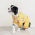 Mahodara Pet Waterproof  Raincoat