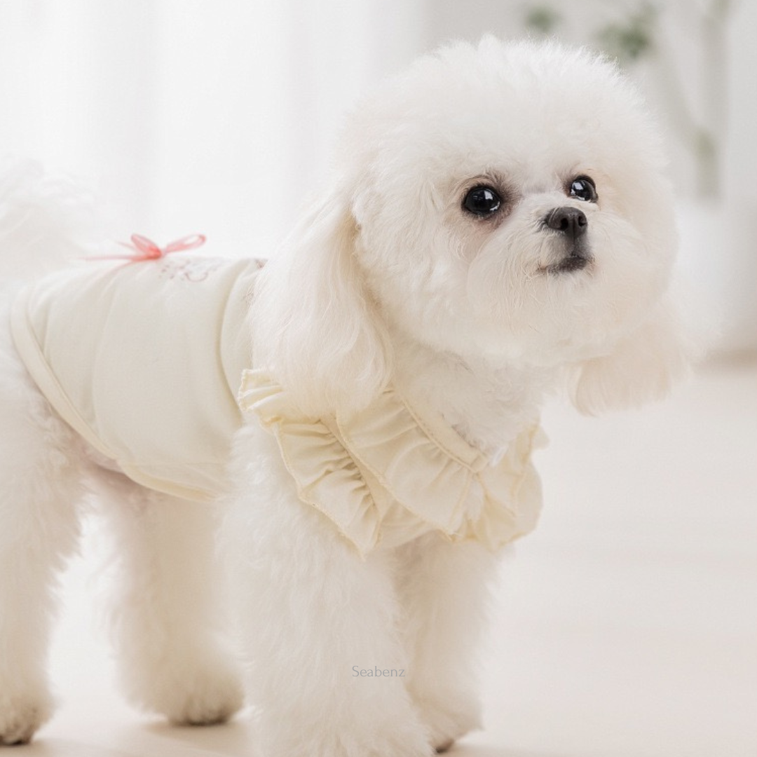 Nala Fairy Tale Clothing