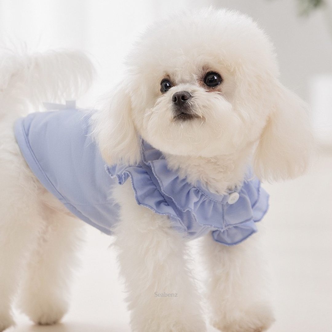 Nala Fairy Tale Clothing
