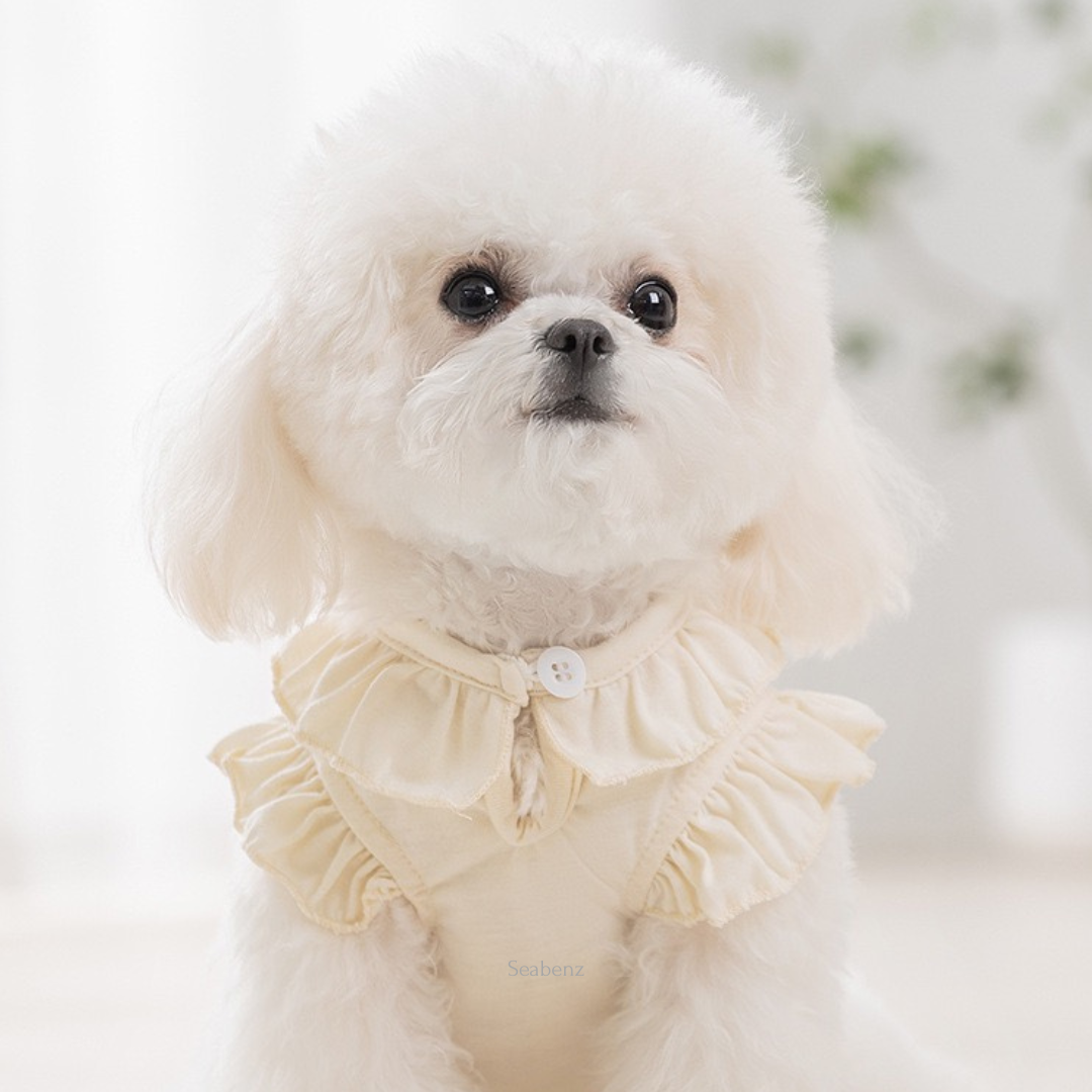 Nala Fairy Tale Clothing