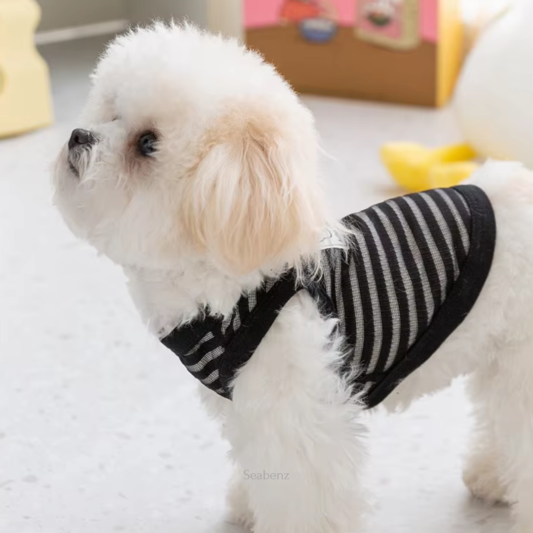 Cosette Lightweight Striped Clothing