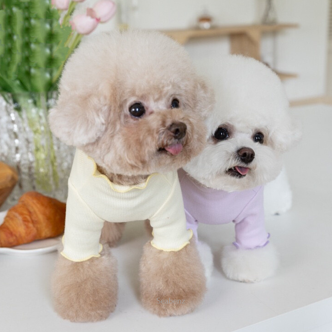 Lucy Candy Clothing