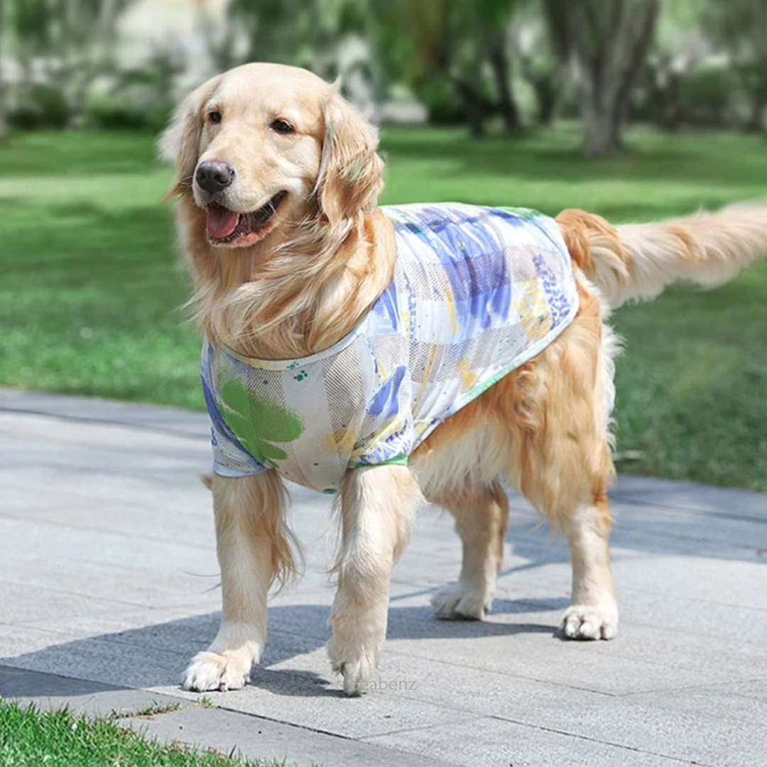 BreezyGuard Mesh Summer Clothing