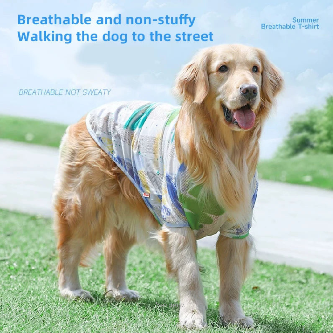 BreezyGuard Mesh Summer Clothing